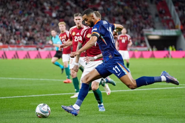 Gakpo được Sofascore đánh giá điểm 7.9, chỉ thấp hơn một chút so với người ghi bàn quyết định Denzel Dumfries.