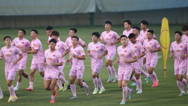 Đội tuyển Việt Nam không thi đấu giao hữu trong dịp FIFA Days tháng 11.