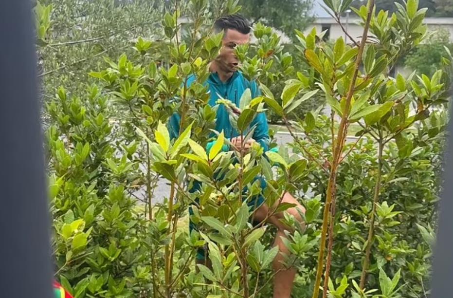 Ronaldo băng qua bụi rậm để chụp ảnh với NHM.
