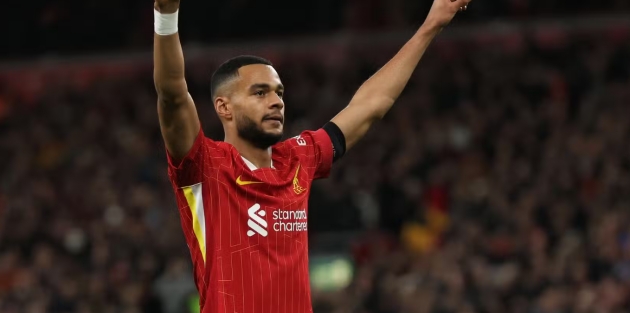 Liverpool mất Gakpo, Diogo Jota có thể là phương án thay thế tối ưu.