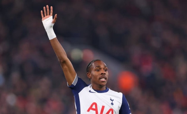 Tel đã có màn ra mắt Tottenham.