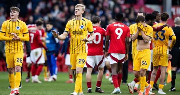 Brighton đã trở lại mạnh mẽ sau trận thua Forest.