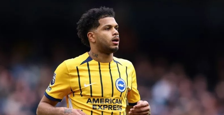 Chelsea nhắm đến sao trẻ Brighton.
