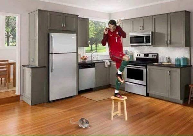 Ảnh bài viết Ảnh chế: Ronaldo "mong manh dễ vỡ" từ ngày hụt pen; Trung Quốc khẳng định "sức mạnh" khủng khiếp ở EURO 2016