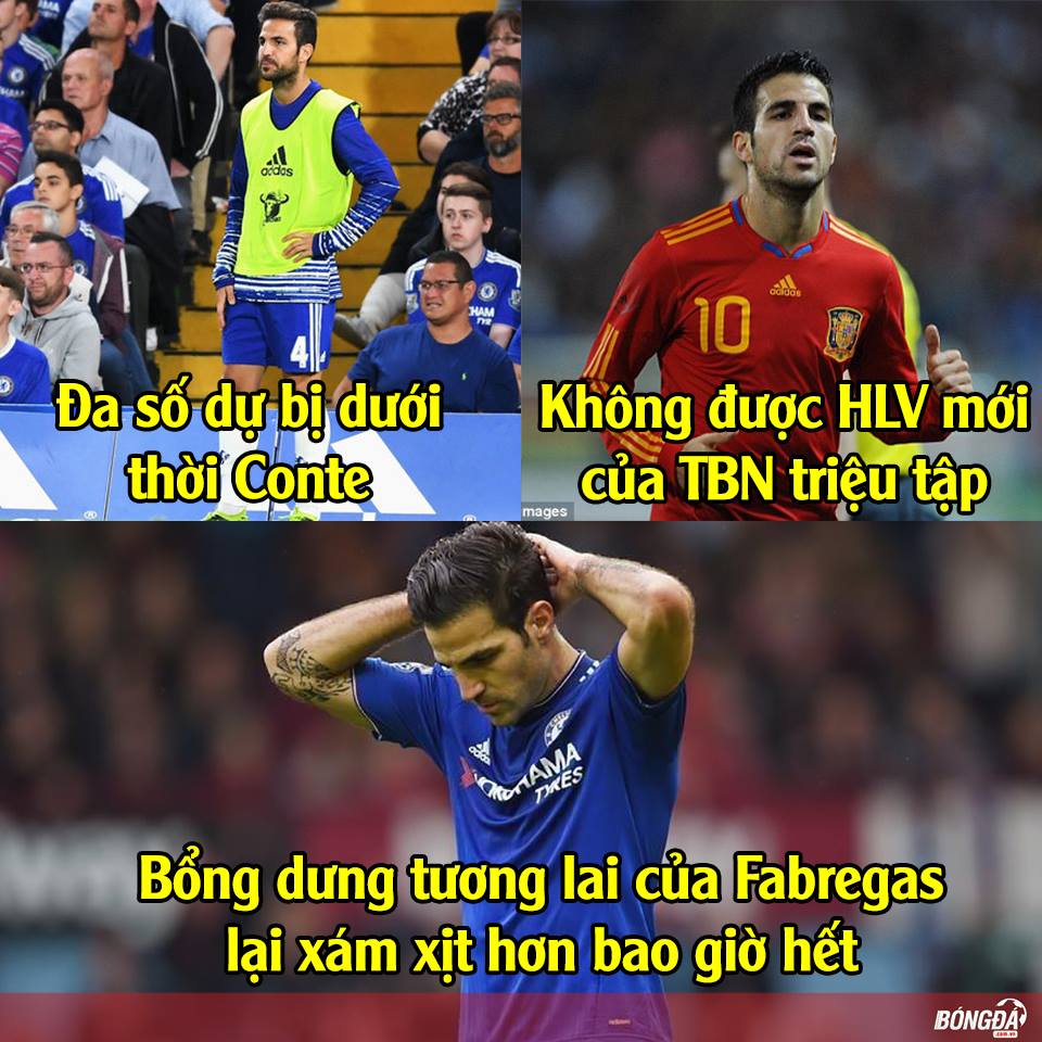 Fabregas giờ thảm quá. Ảnh: Internet.