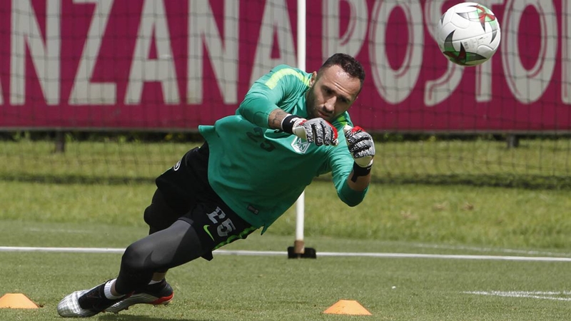 Trong 3 năm khoác áo đội bóng quê nhà, David Ospina chỉ được ra sân ở những trận đấu cúp. Mặc dù vậy, anh cũng đã có 5 trận giữ sạch lưới trong tổng số 11 lần ra sân.