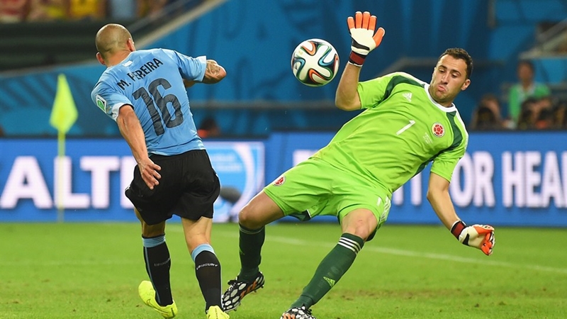 Năm 2014, David Ospina được triệu tập vào đội tuyển quốc gia và tham dự World Cup tại Brazil.