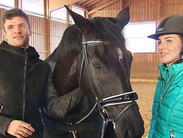 Chú ngựa D'Avie của vợ chồng Muller là ngựa giống có tiếng trên thế giới.