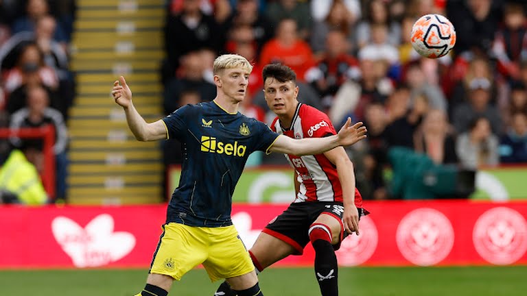 Sau trận thua Brighton 1-3, Newcastle United bắt đầu có dấu hiệu hồi sinh với những kết quả tốt gần đây.