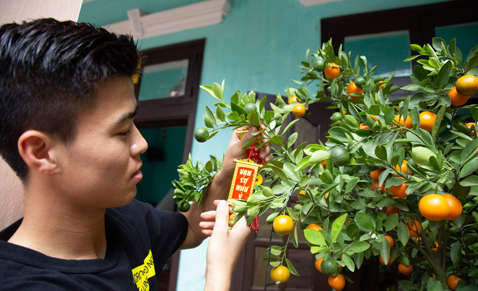 Đỗ Duy Mạnh tỉa lá và trang hoàng cây quất trước sân nhà.
