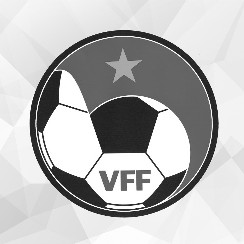 Ảnh bài viết VFF tạm dừng tất cả các giải đấu bóng đá