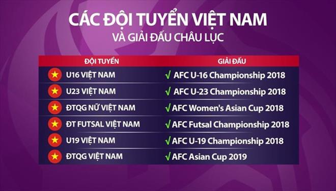 Ảnh bài viết VFF cần 70 tỷ đồng cho 6 đội tuyển dự VCK châu Á