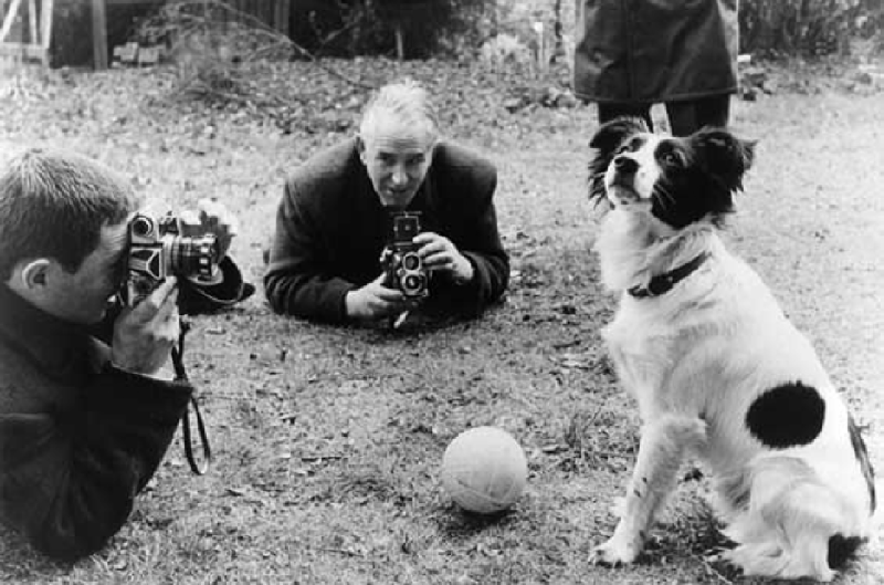 Ảnh bài viết World Cup 1966 và câu chuyện về người hùng… 4 chân