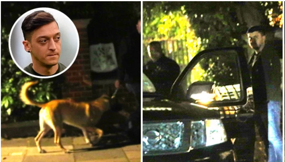 Ảnh bài viết SỐC! Ozil thuê an ninh và chó nghiệp vụ canh gác 24/24 căn nhà