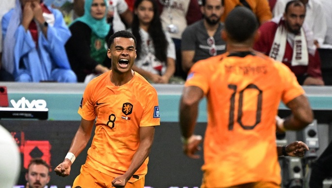 Ảnh bài viết Quá bùng cháy, Gakpo lại nổ súng khiến Qatar không thể ngẩng cao đầu