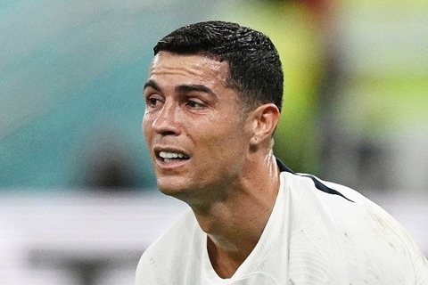 Ảnh bài viết Chị gái Ronaldo: Bồ Đào Nha thất bại do một lũ chuột