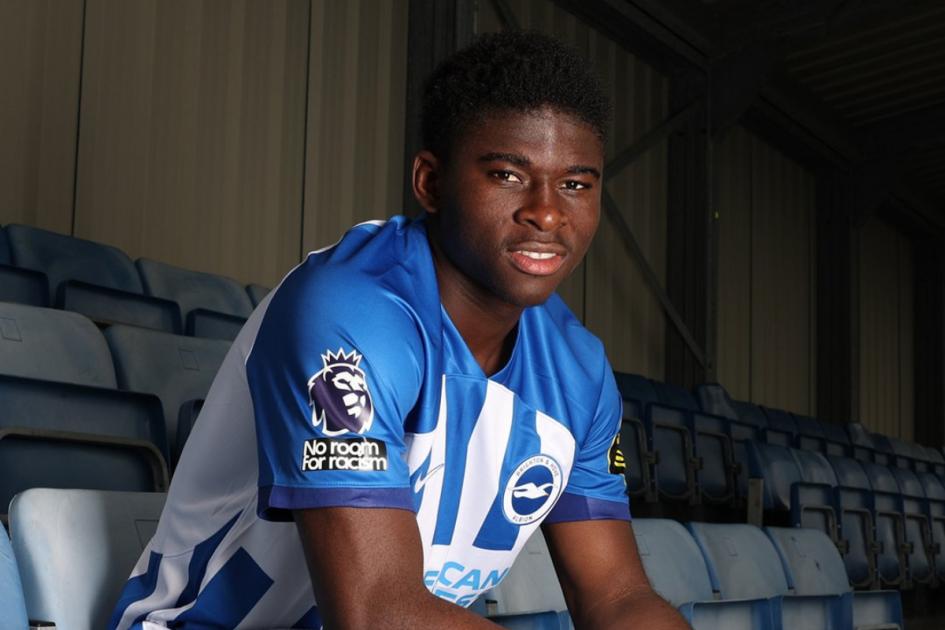 Ảnh bài viết De Zerbi chỉ ra "Caicedo đệ nhị" của Brighton