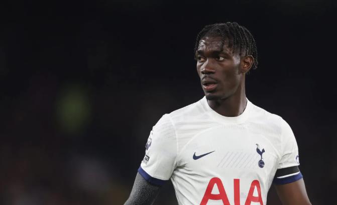 Ảnh bài viết Tim Sherwood chỉ ra tiền vệ giỏi hơn cả Caicedo của Tottenham