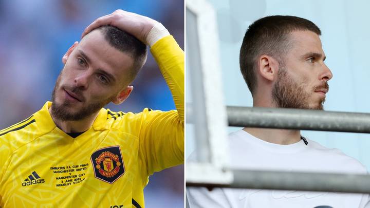 Ảnh bài viết Những lý do khiến David de Gea vẫn chưa tái xuất bóng đá