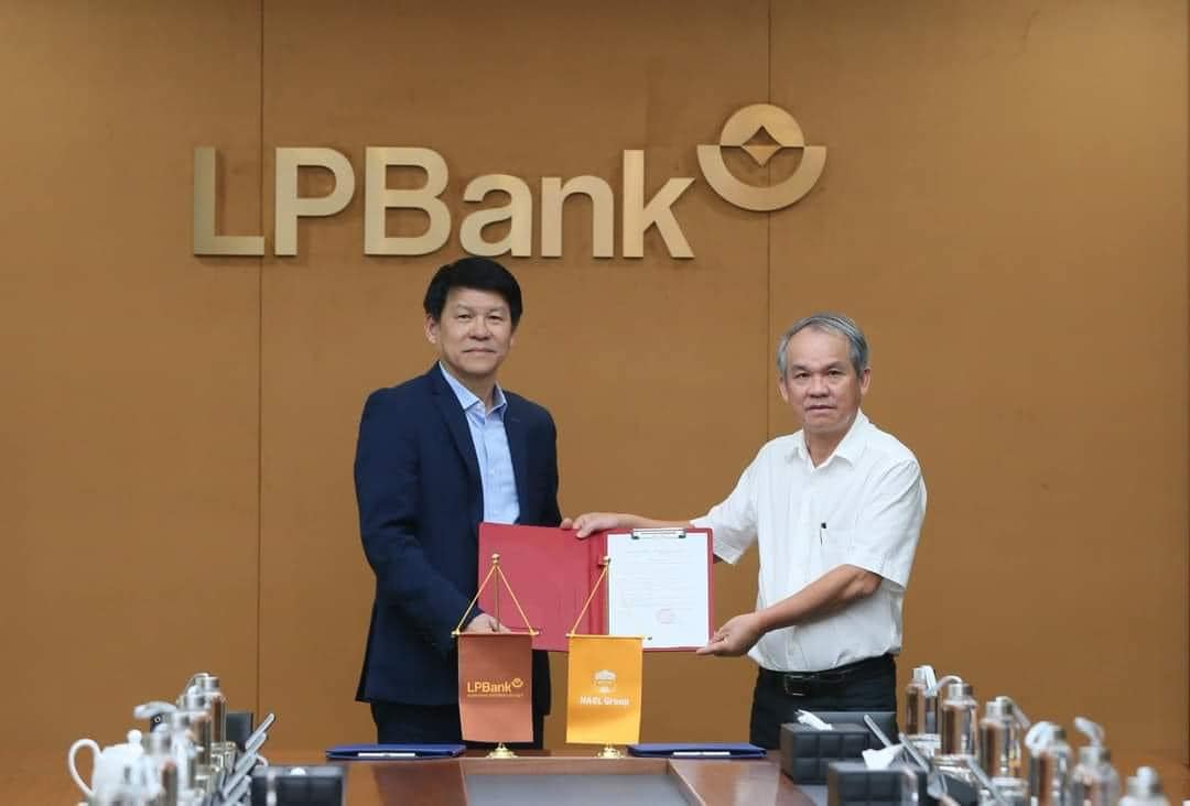 Ảnh bài viết Quyết tâm trụ hạng, HAGL bổ sung 2 tân binh