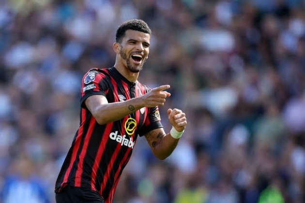 Ảnh bài viết Bournemouth sẽ không "sụp đổ" sau khi mất Solanke
