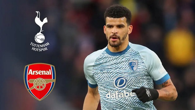 Ảnh bài viết "Tôi nghĩ Solanke sẽ làm việc tốt hơn ở một nơi như Arsenal"
