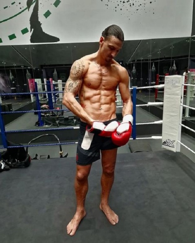 Năm 17 tuổi, Ibra từng sở hữu đai đen Taekwondo. Có lẽ với một sự kỷ luật của người tập võ cùng với thể chất phi thường, tiền đạo này vẫn có thể thi đấu đỉnh cao khi hơn 40 tuổi.