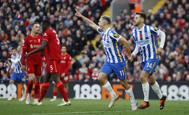 Brighton xuất sắc cầm hòa Liverpool.