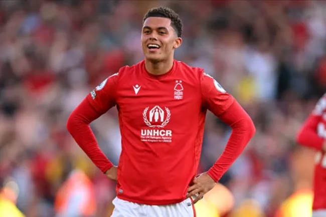 Brennan Johnson có thể đến Tottenham.