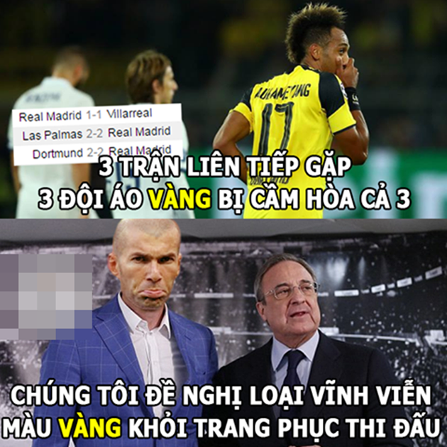 Cạch mặt áo vàng. Ảnh: Internet.