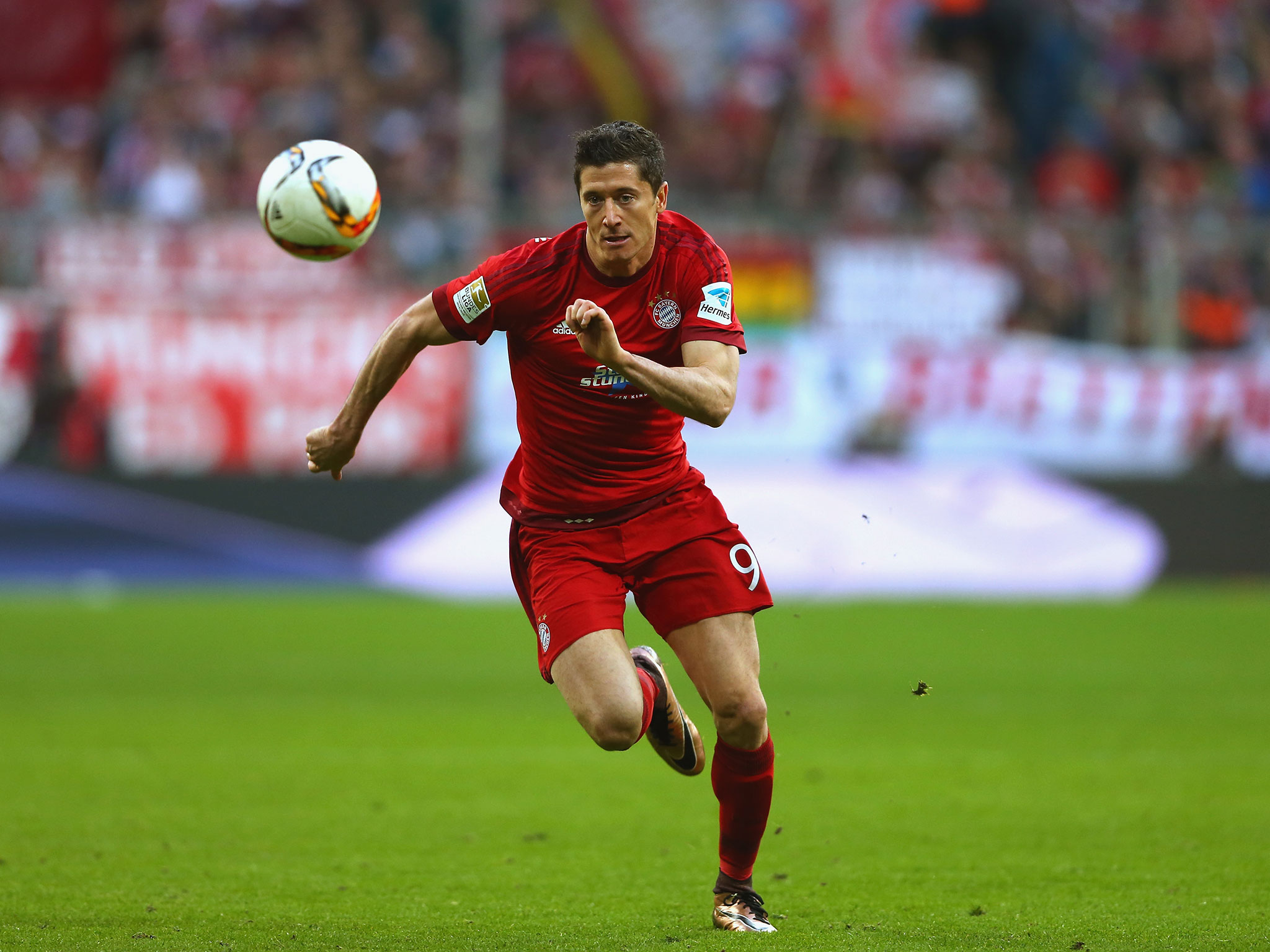 Lewandowski tiếp tục trở lại Signal Iduna Park.