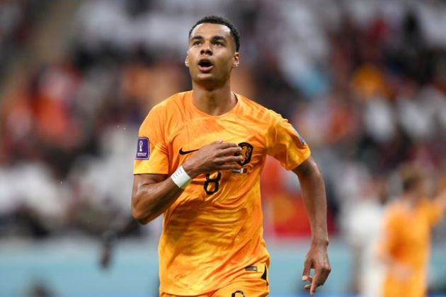 Ảnh bài viết Đến Premier League, Gakpo được dự đoán gia nhập bến đỗ gây sốc