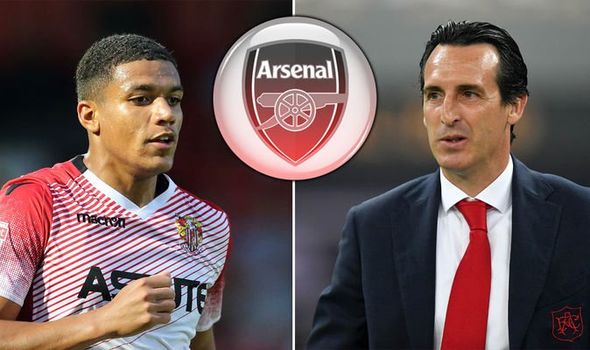 Ảnh bài viết Ngân sách bèo, Arsenal nhắm cái tên vô danh giá 1 triệu bảng