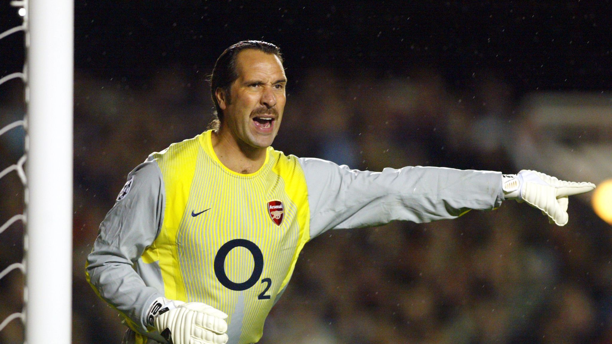 Thủ môn David Seaman: Cựu danh thủ người Anh có 13 năm cống hiến cho Arsenal giai đoạn 1990-2003, giành 3 chức vô địch Premier League, 4 FA Cup và 1 Cúp liên đoàn Anh.