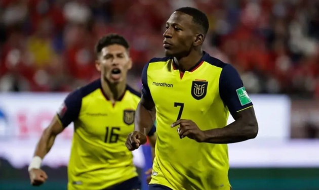 Caicedo là một trong những thương vụ Nam Mỹ thành công nhất của Brighton