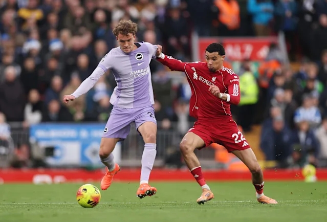 Ảnh bài viết Zamora cảnh báo Liverpool về cú sốc từ Brighton