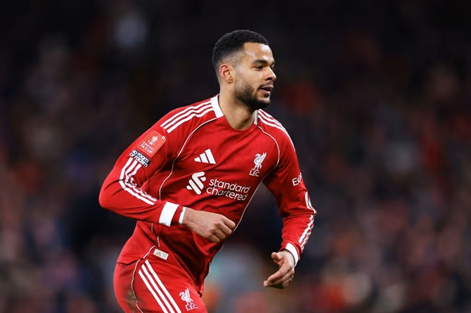 Ảnh bài viết Liverpool bán Gakpo dọn chỗ đón sao 100 triệu bảng