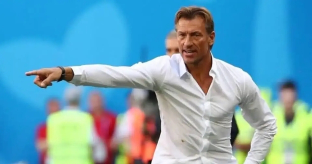 Ảnh bài viết HLV Renard lên tiếng về màn "chữa cháy" cho Tunisia ở World Cup 2026
