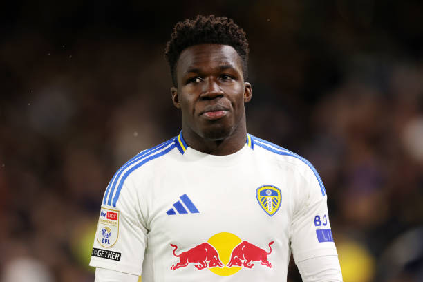 Wilfried Gnonto - Avatar