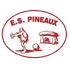 Les Pineaux