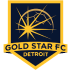 Gold Star FC Detroit logo