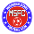 Michigan Stars FC logo